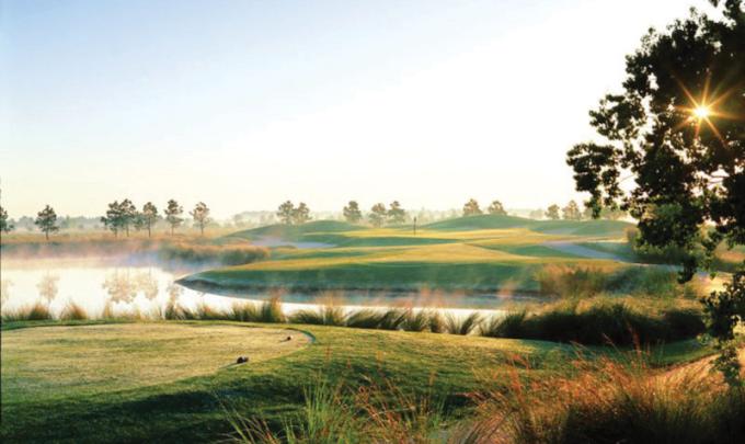Cypress Bend