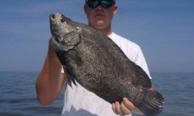 tripletail Orange Beach Al