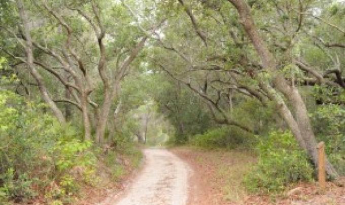 Bon Secour National Wildlife Refuge in Gulf Shores, Alabama