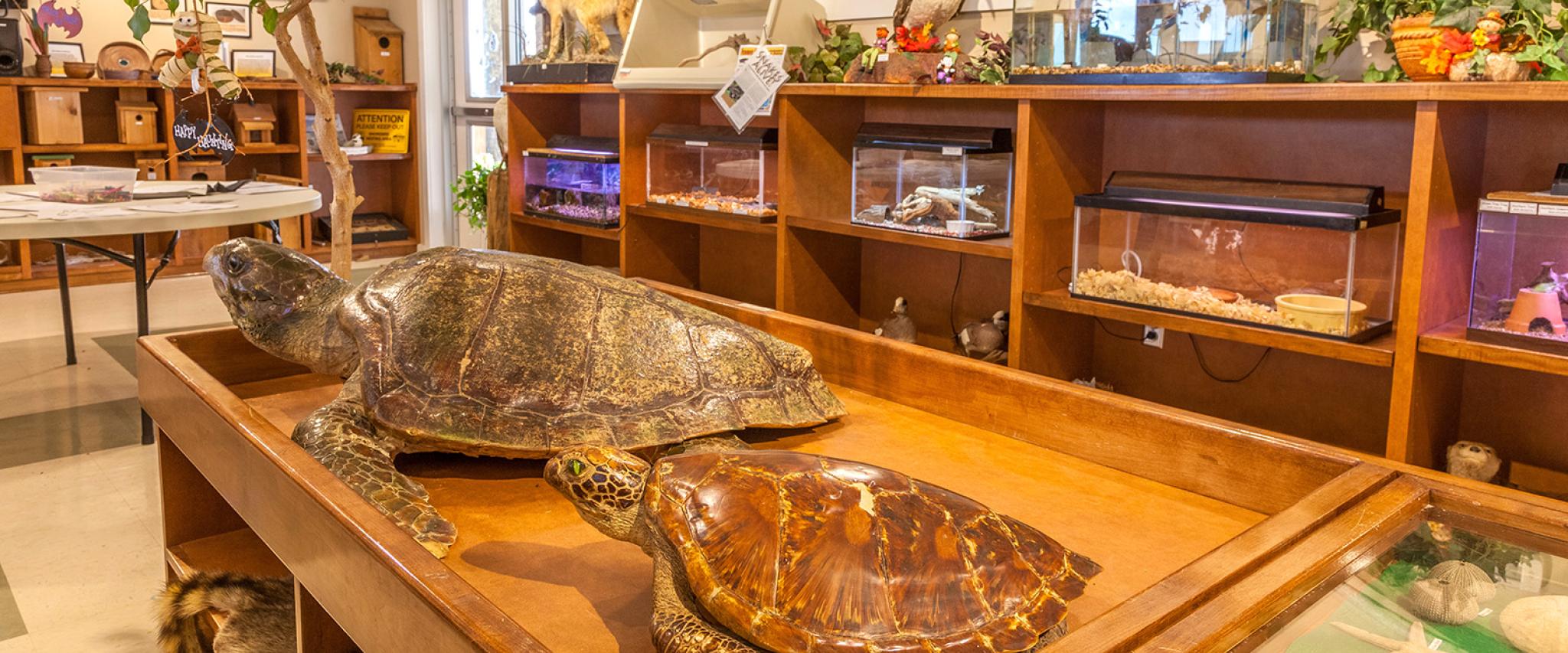 Gulf State Park Nature Center in Gulf Shores AL