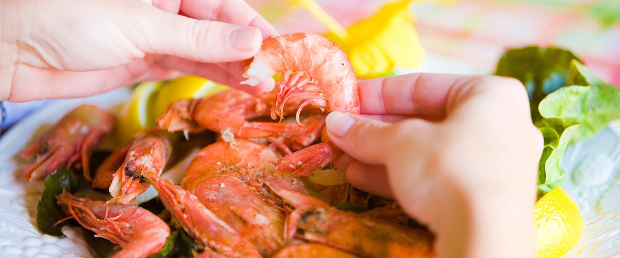 Fresh Alabama Gulf Coast Seafood
