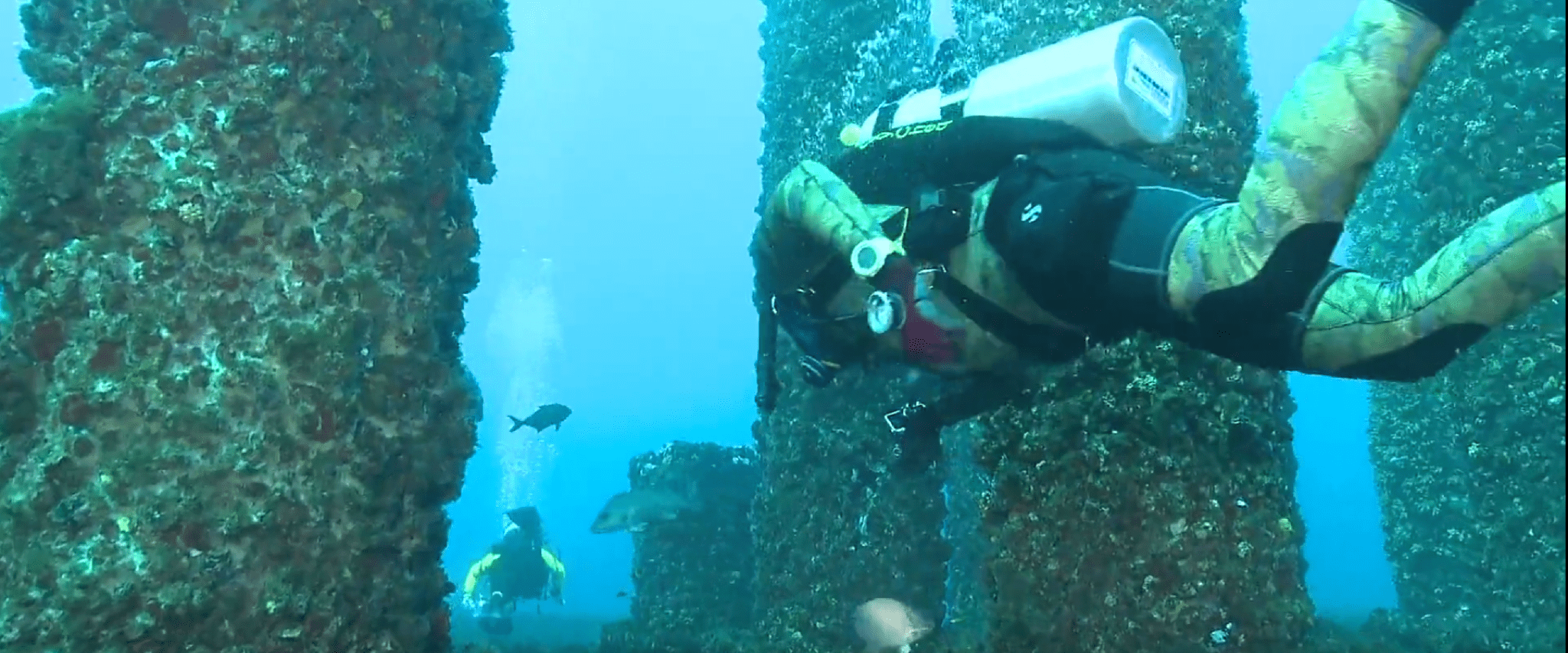 Scuba dive Gulf Shores