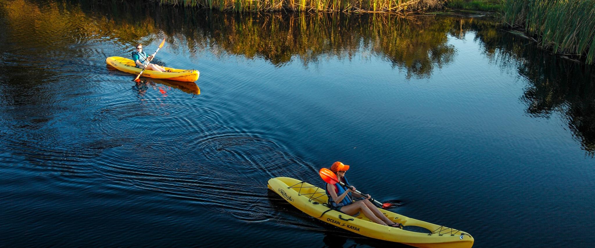 kayaking in the bayou Gulf Shores Al