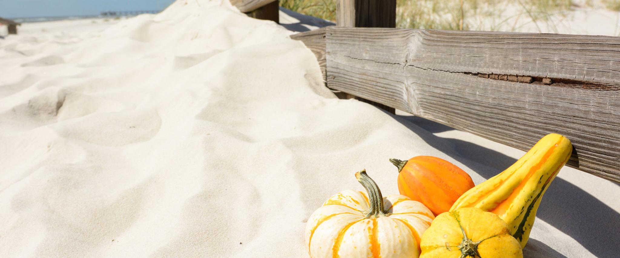 Thanksgiving on The Coast