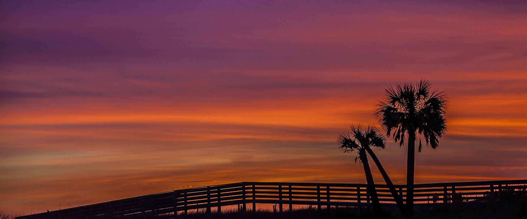 Gulf Shores Blog