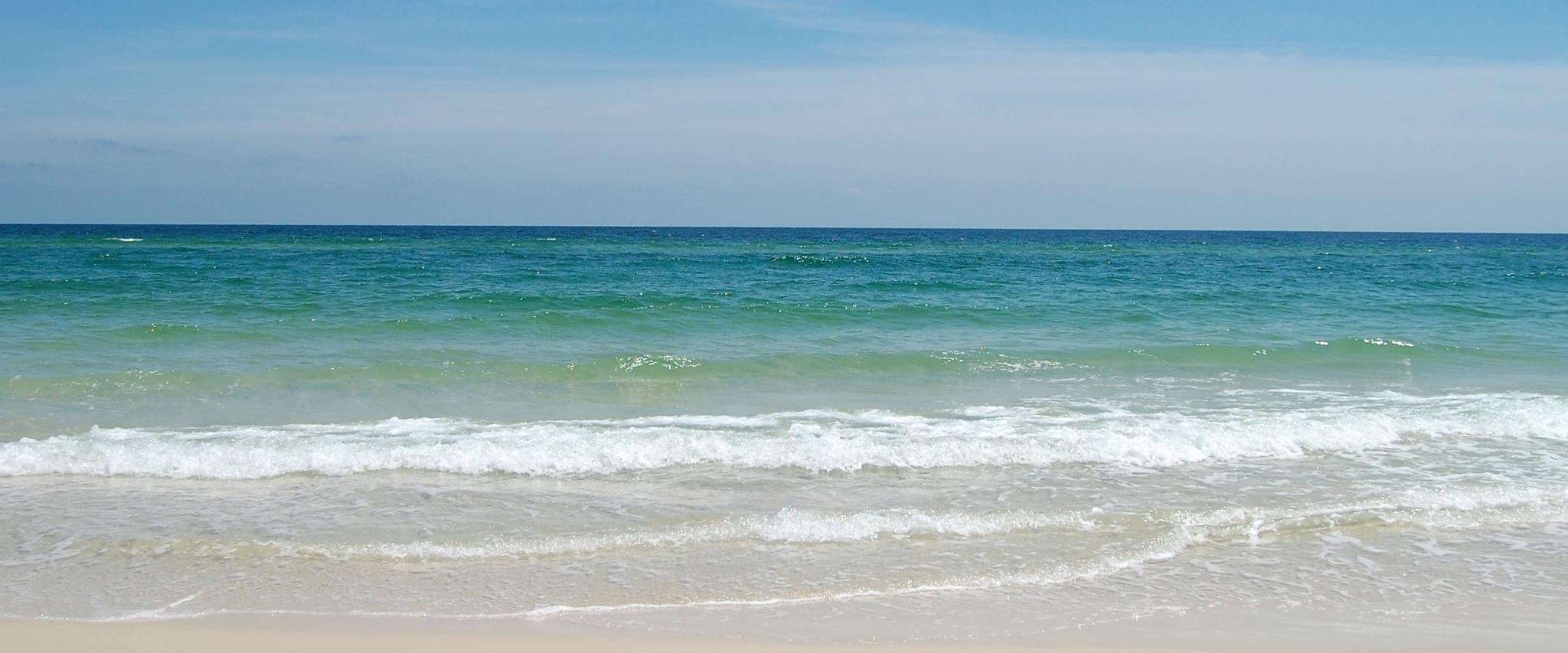 Industry Partner Orange Beach