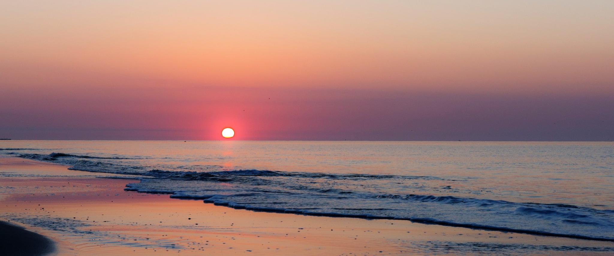 Why our Beach Gulf Shores