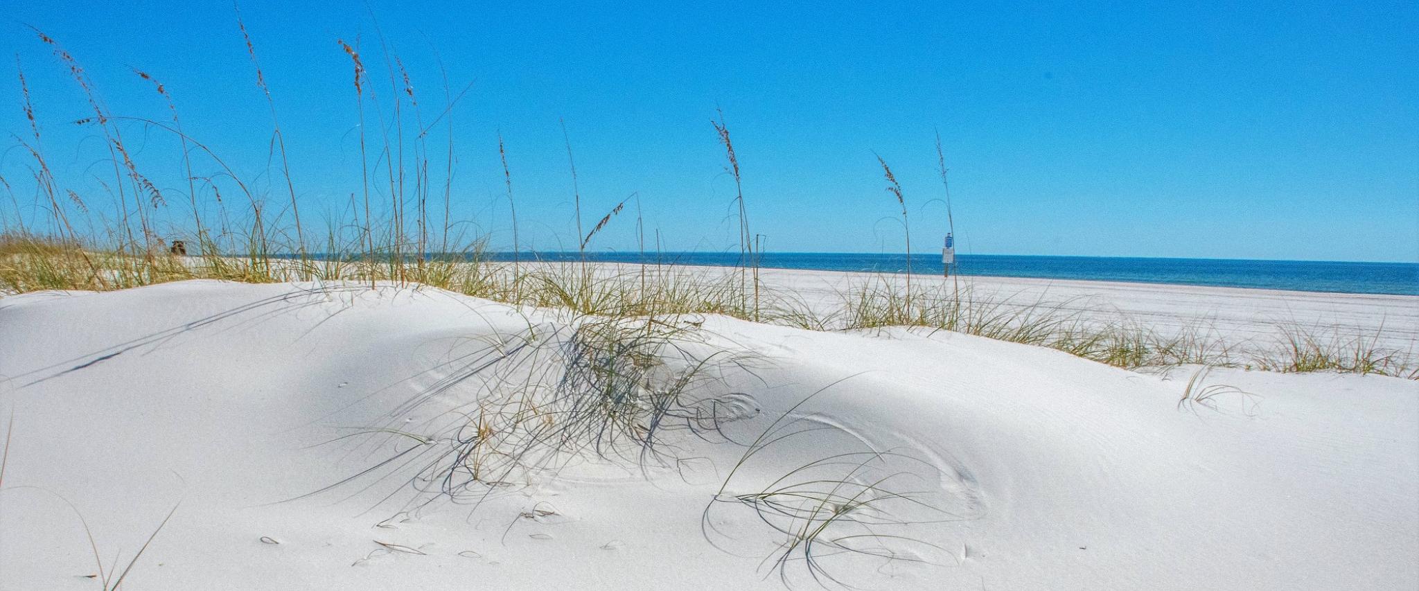 Orange Beach In the News