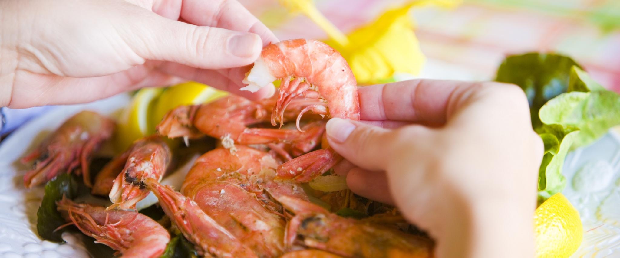 Shrimp in Orange Beach