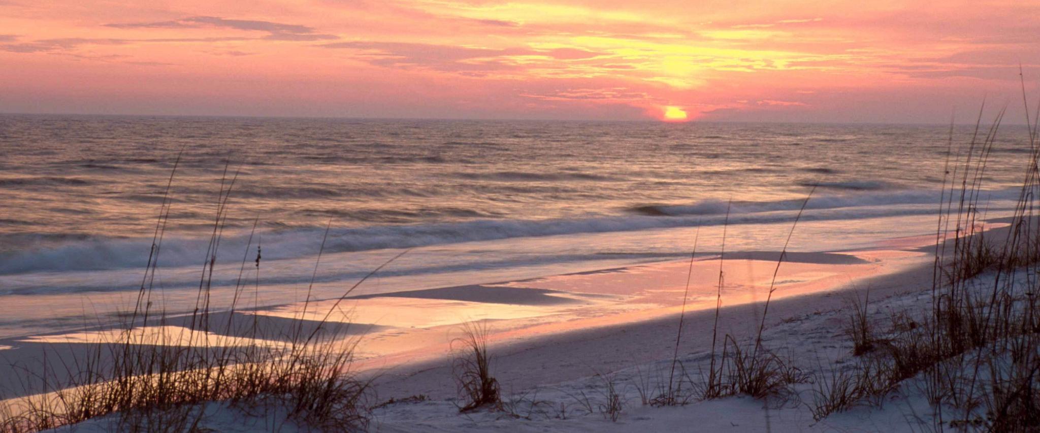 Advertising Opportunities Orange Beach