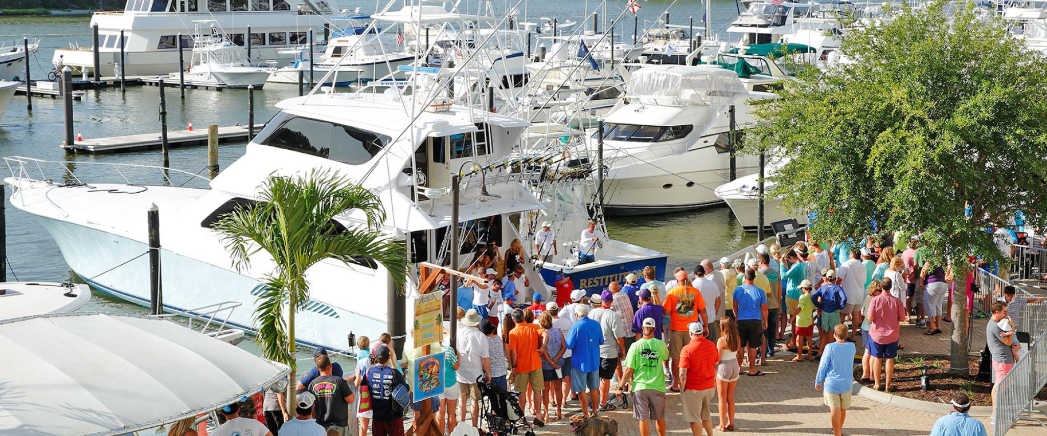 Blue Marlin Grand Championship at The Wharf Orange Beach