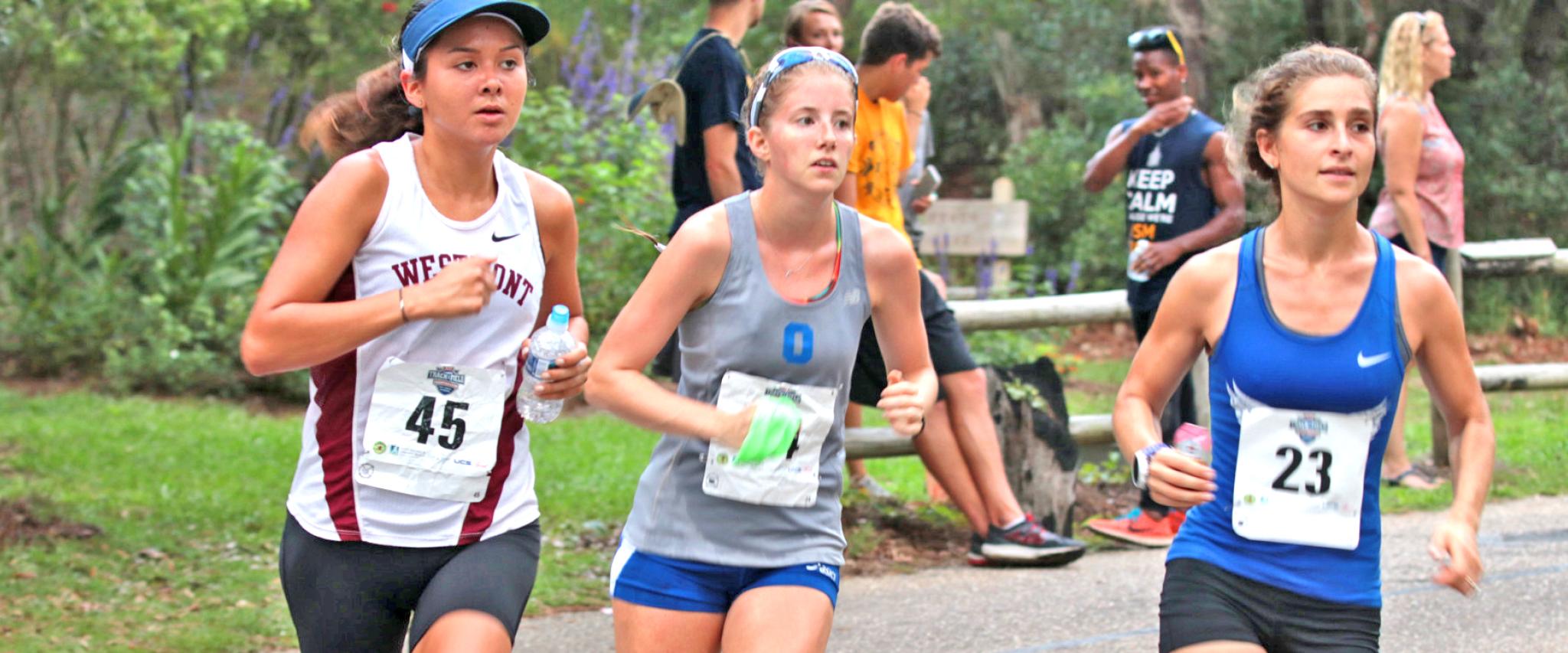 Marathon Runners in Orange Beach AL