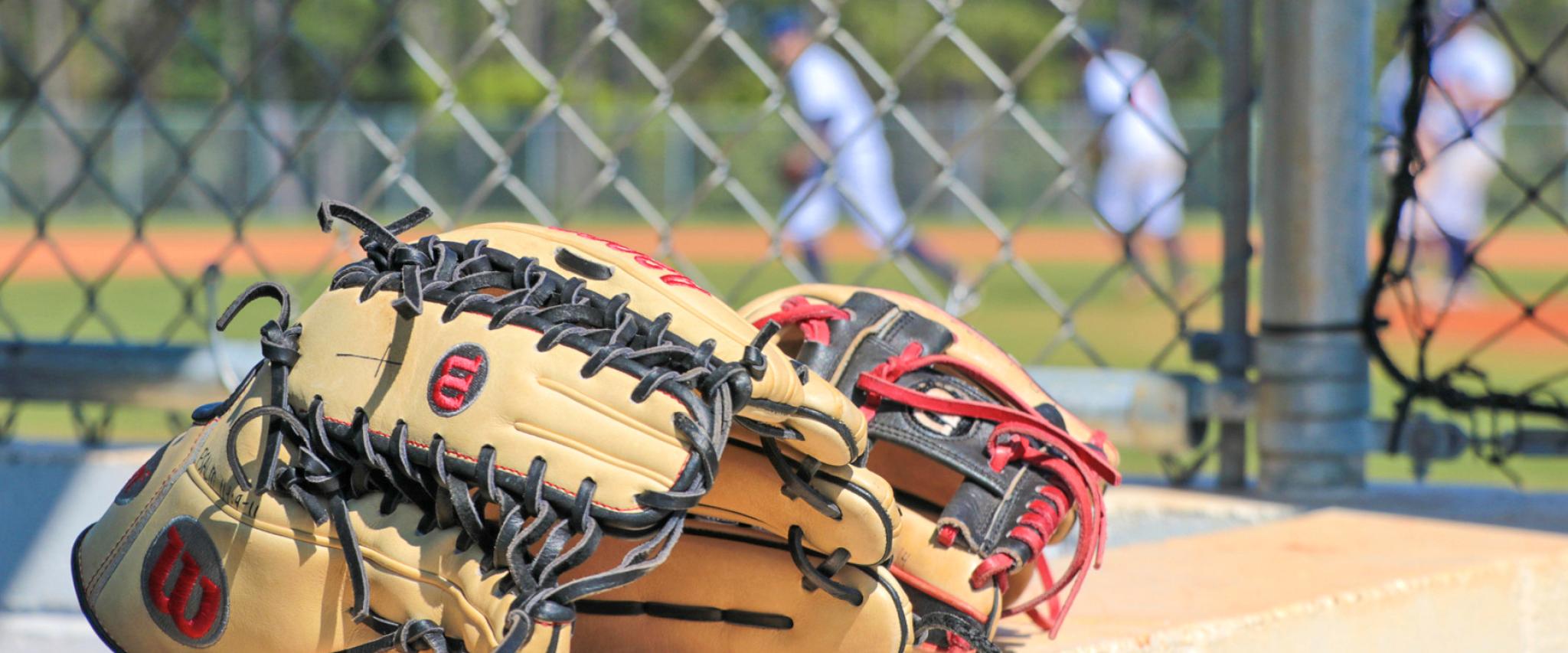 Baseball Glove
