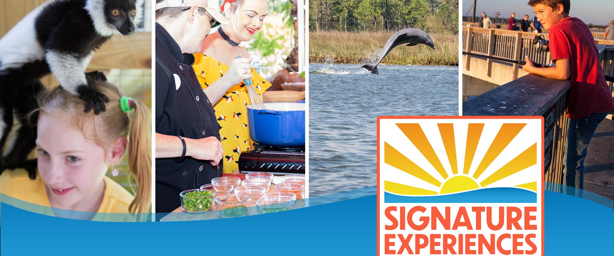 signature experience gulf shores al