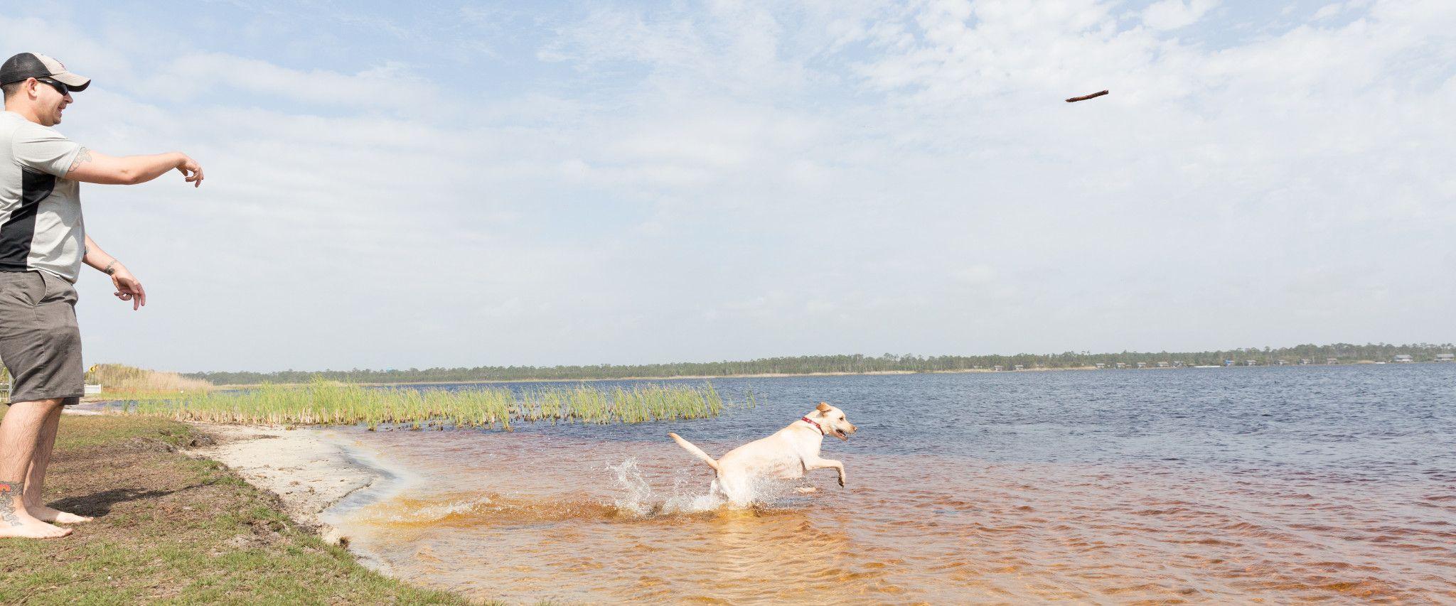 Top 25+ PetFriendly Rentals in Gulf Shores & Orange Beach (2018)