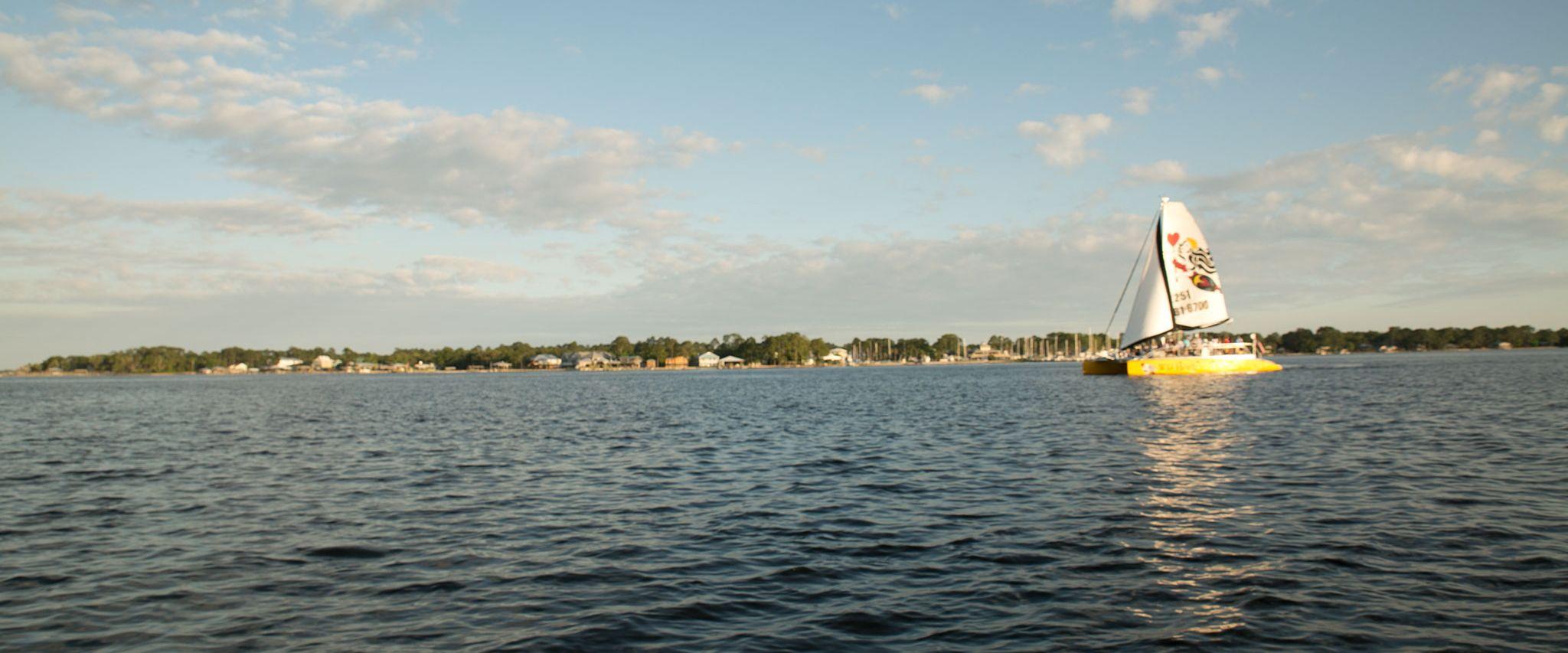 Top 5 Sailing Amp Catamaran Cruises In Gulf Shores Amp Orange
