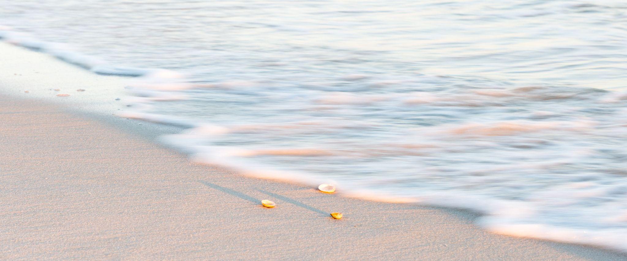 Beach Gulf Shores AL