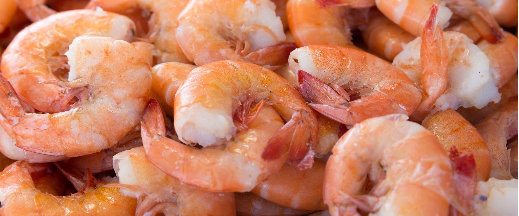 Shrimp Gulf Shores AL