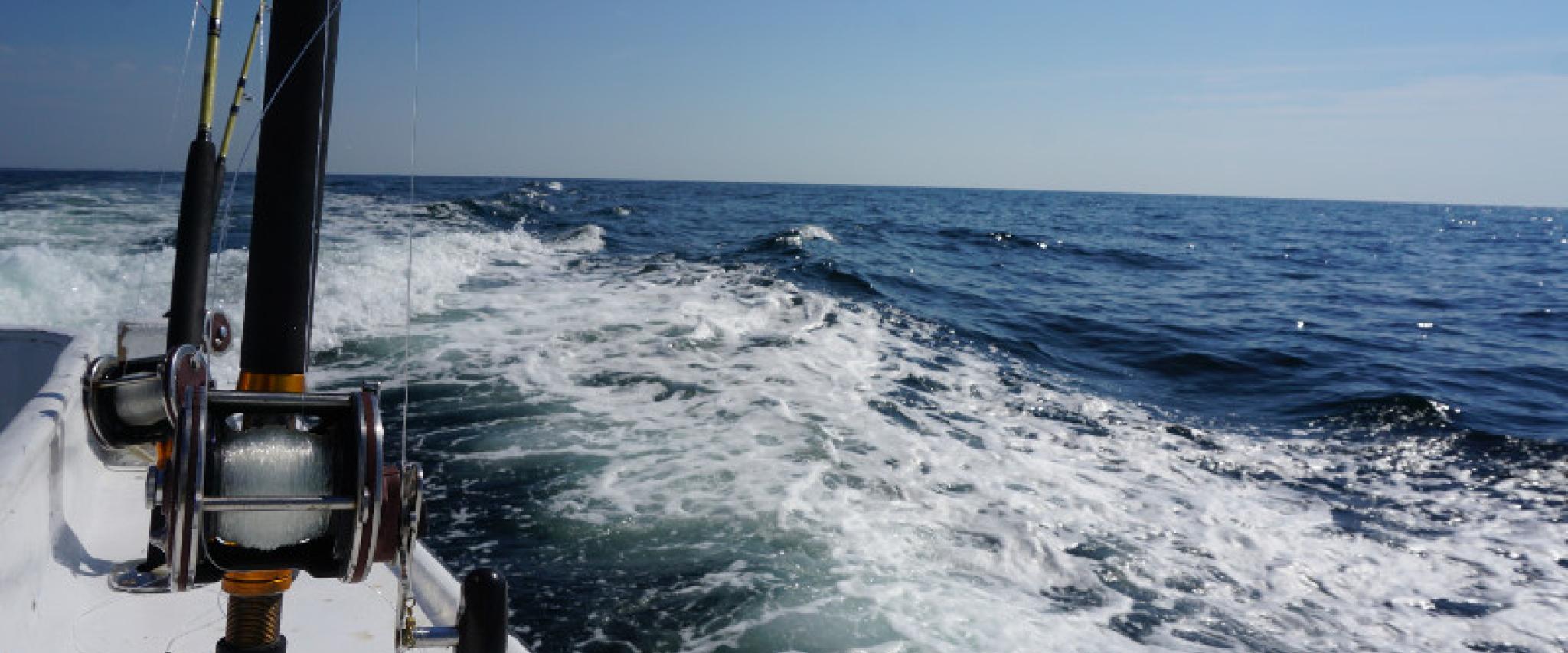 Offshore fishing Gulf Shores Orange Beach