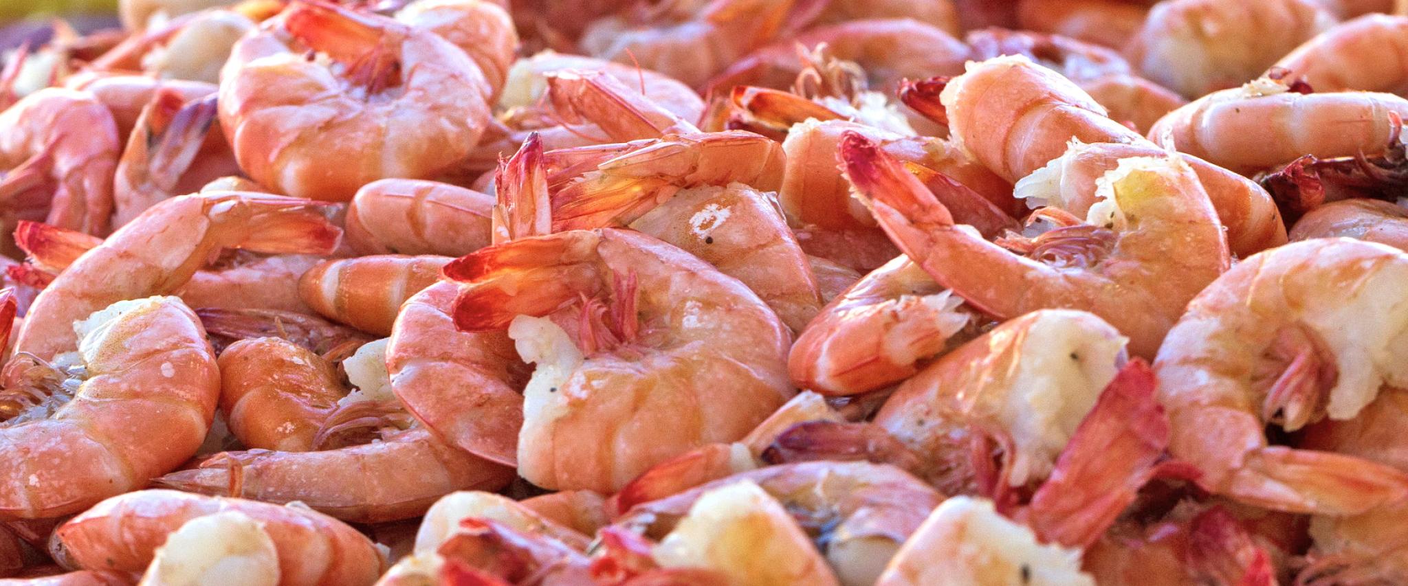 Fresh Gulf Shrimp
