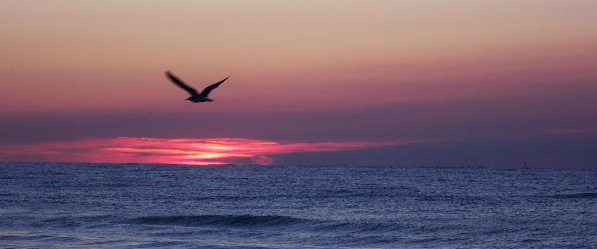 romar beach gulf shores