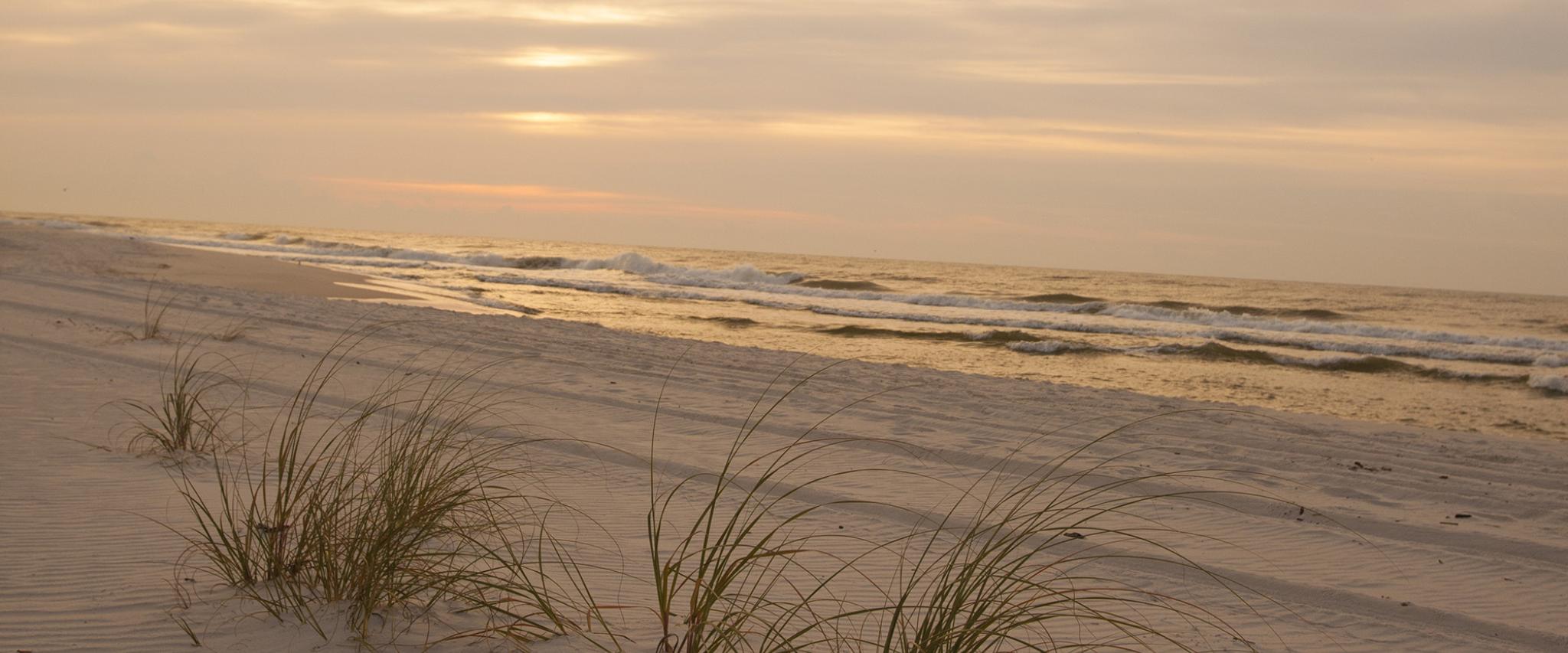 fall beach, gulf shores