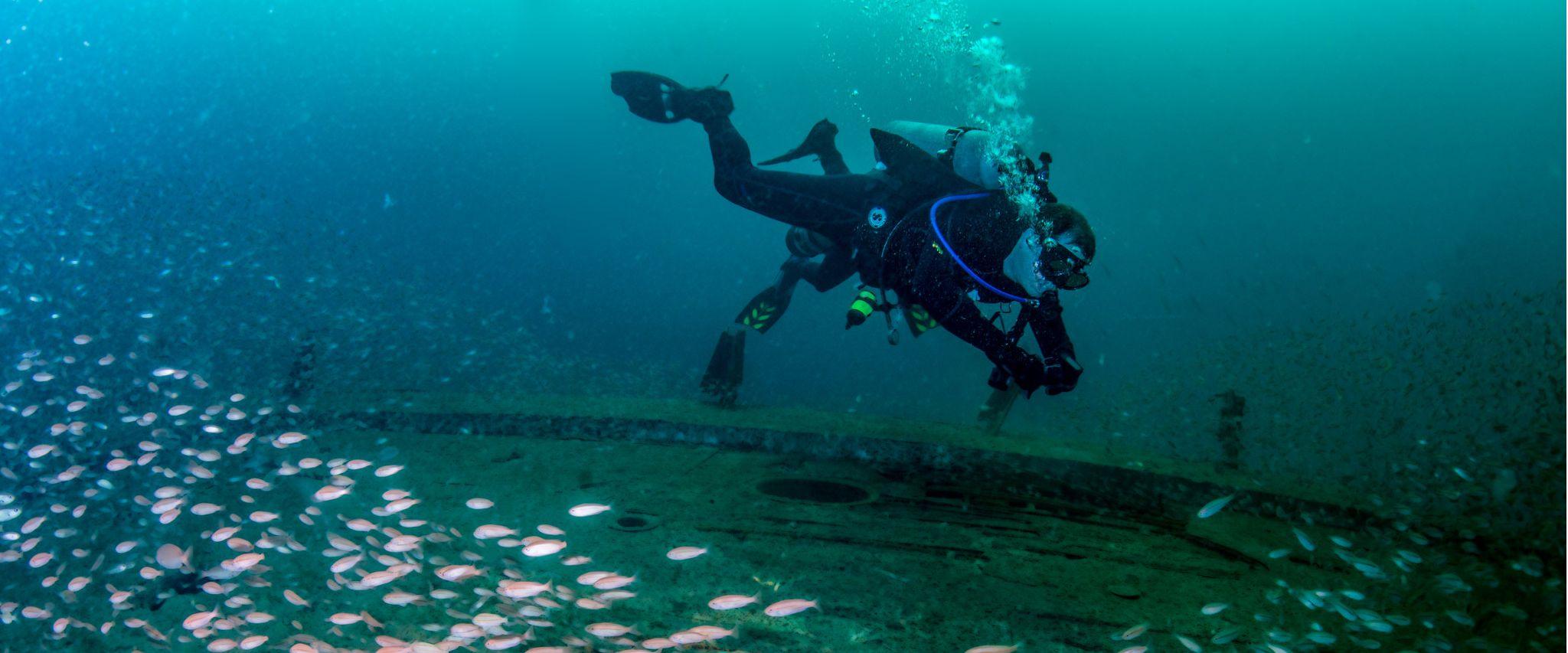 Scuba diving in Gulf Shores, AL