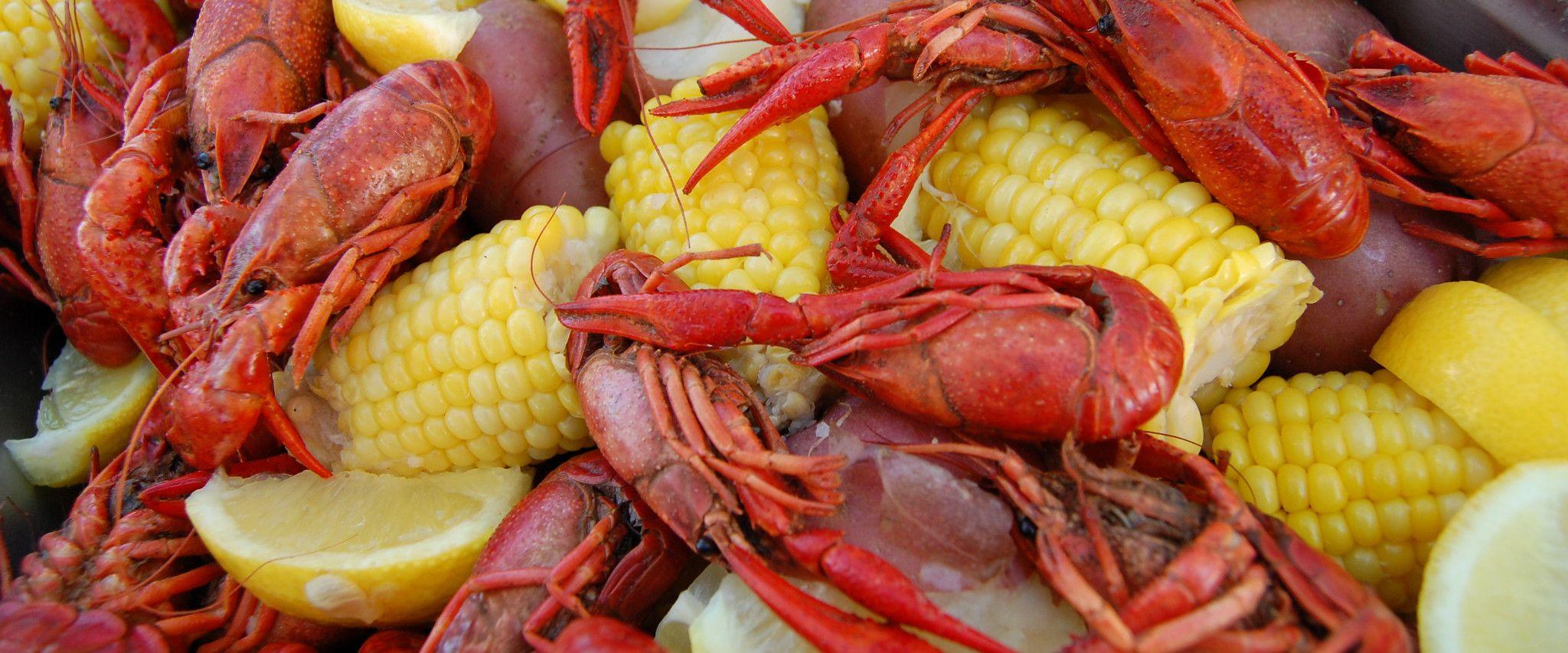 Protein packed meals in Gulf Shores and Orange Beach, AL