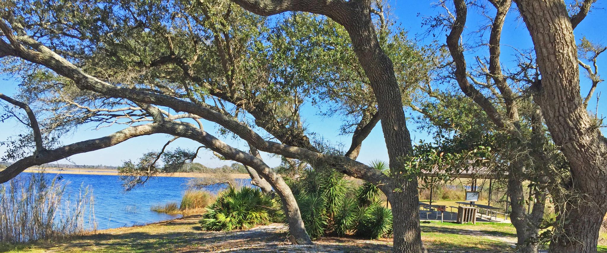 Lake Shelby at Gulf State Park Gulf Shores, AL