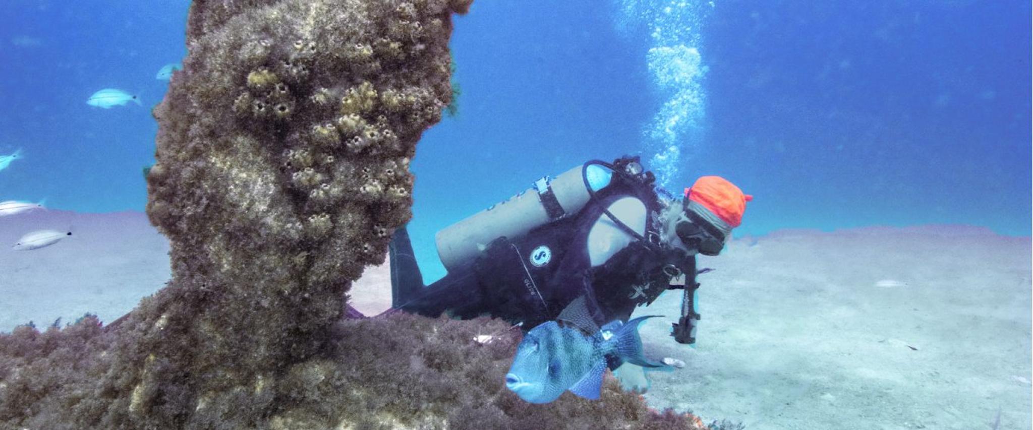 Diver at Poseidon's Playground off Alabama's beaches