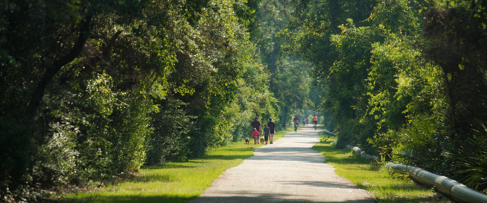 Hugh S. Branyon Backcountry Trail in Gulf State Park