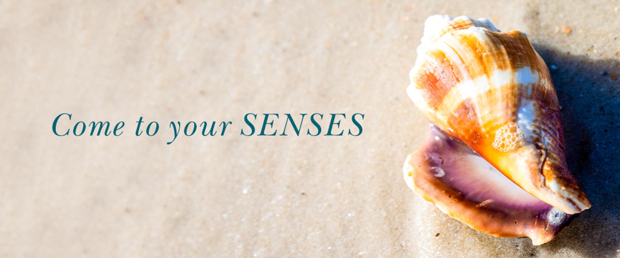 Come to your senses this spring in Gulf Shores and Orange Beach Alabama