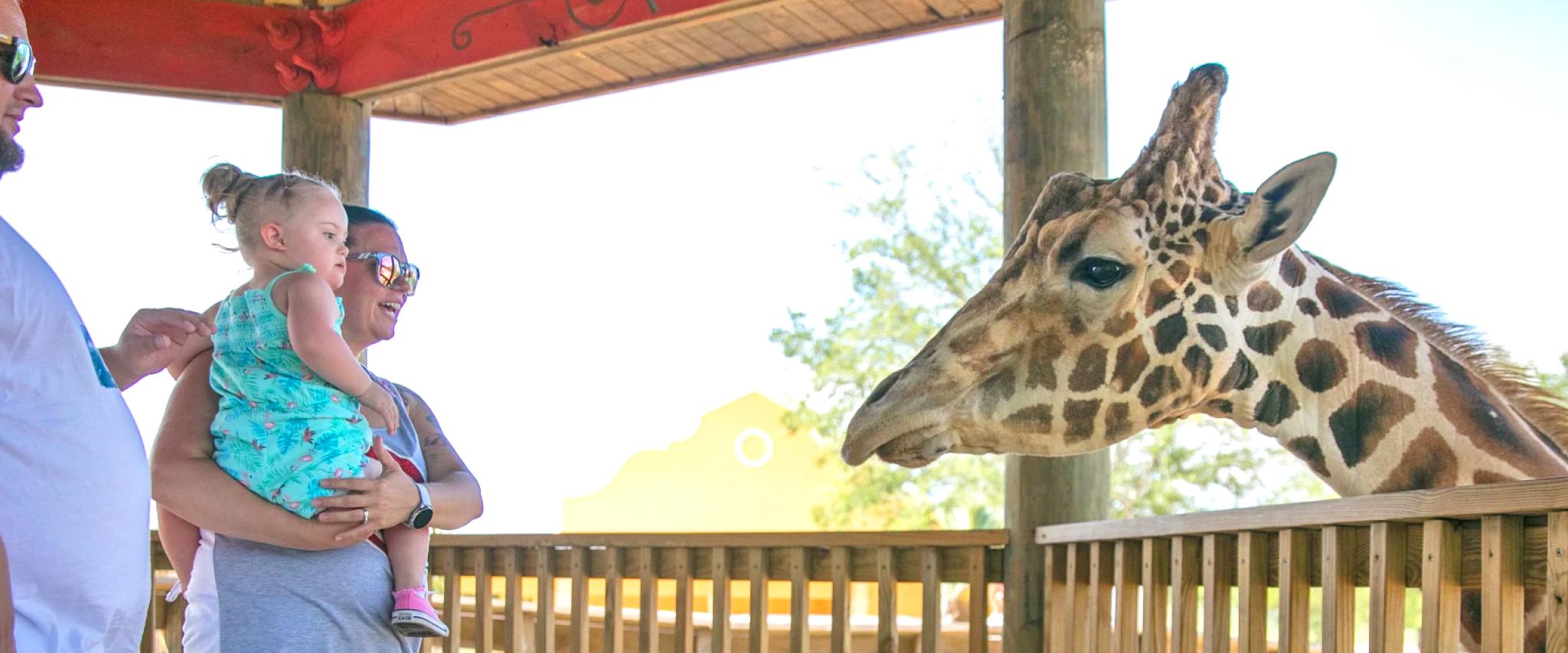 Alabama Gulf Coast Zoo