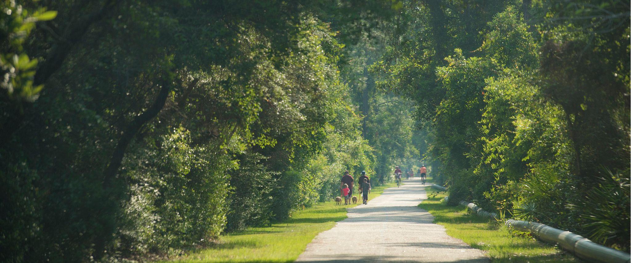 Explore nature at Gulf State Park