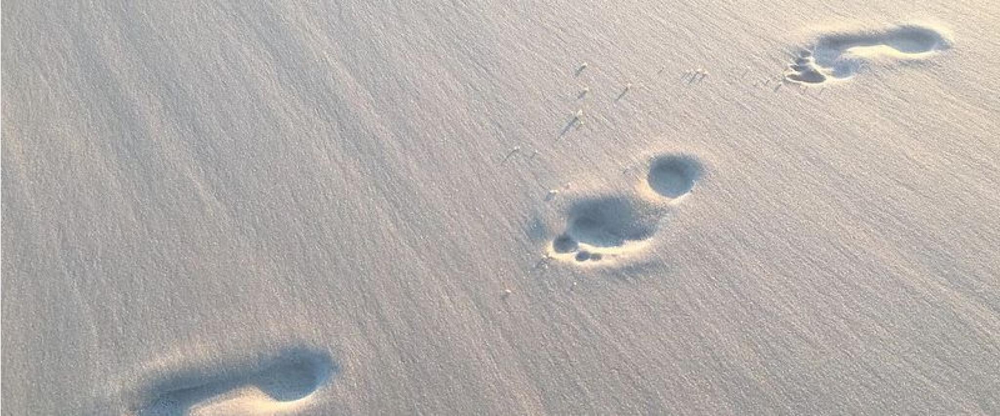 Footprints in the sand on Alabama's beaches
