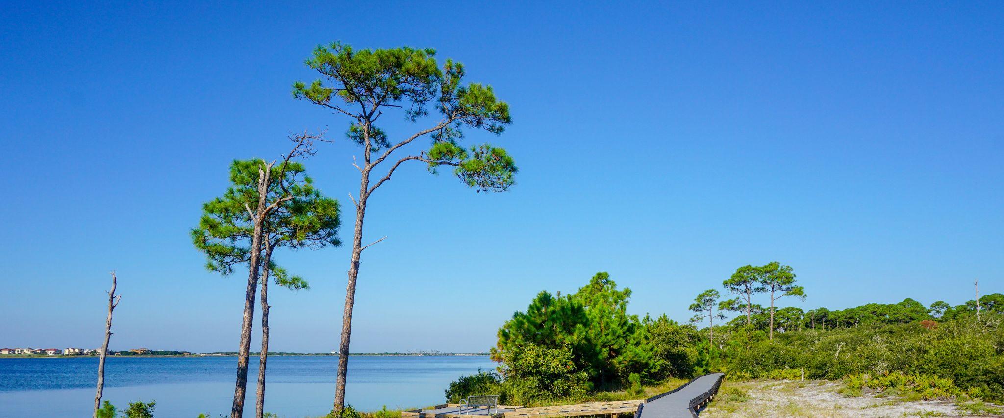 Waterfront trails at Bon Secour
