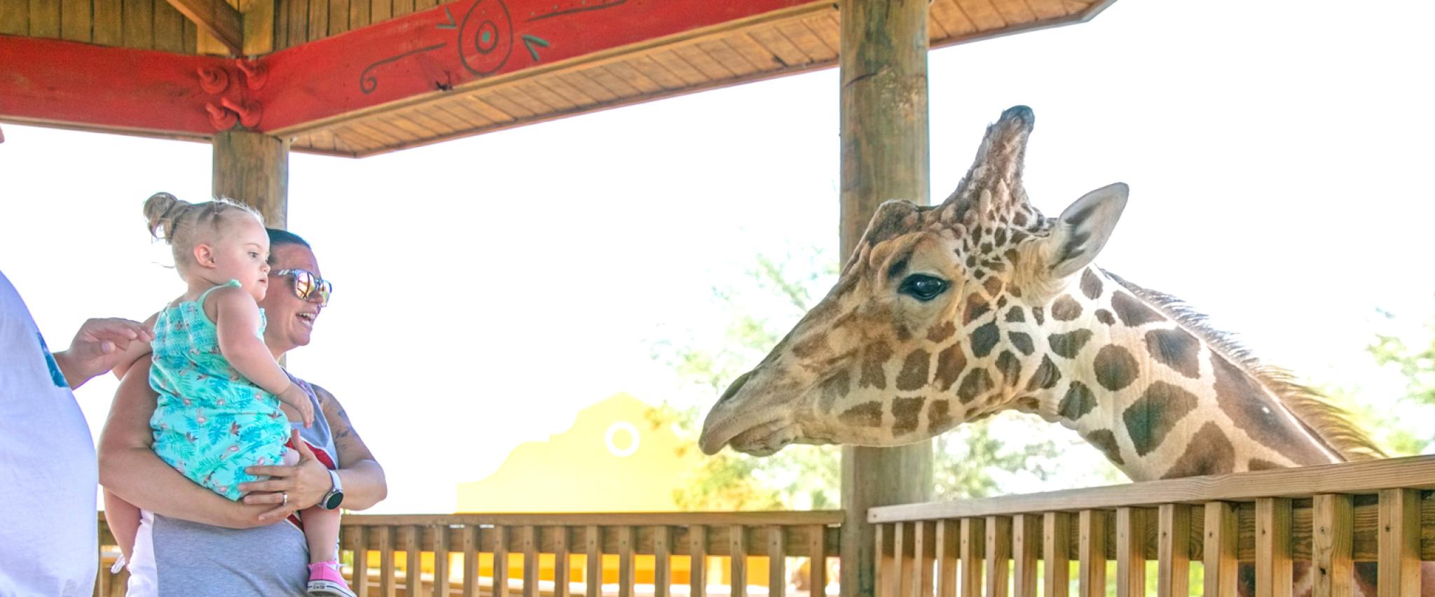 Family at Alabama Gulf Coast Zoo