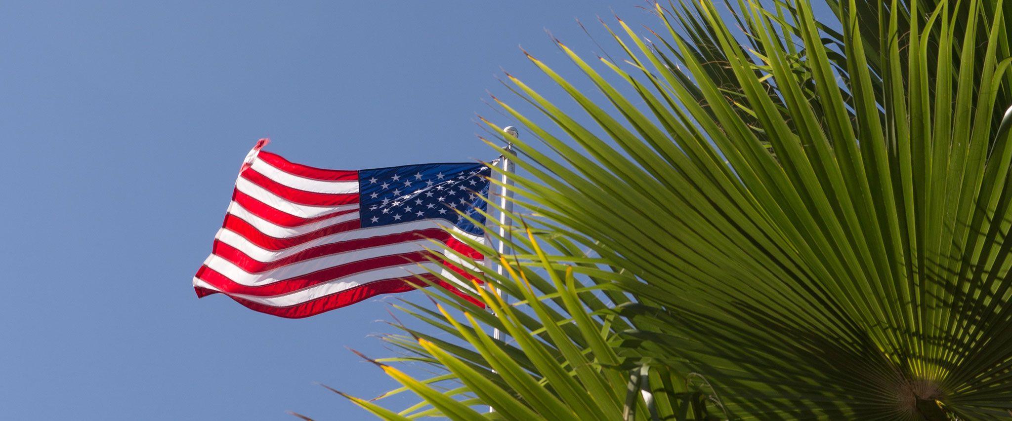 American flag and a palm tree