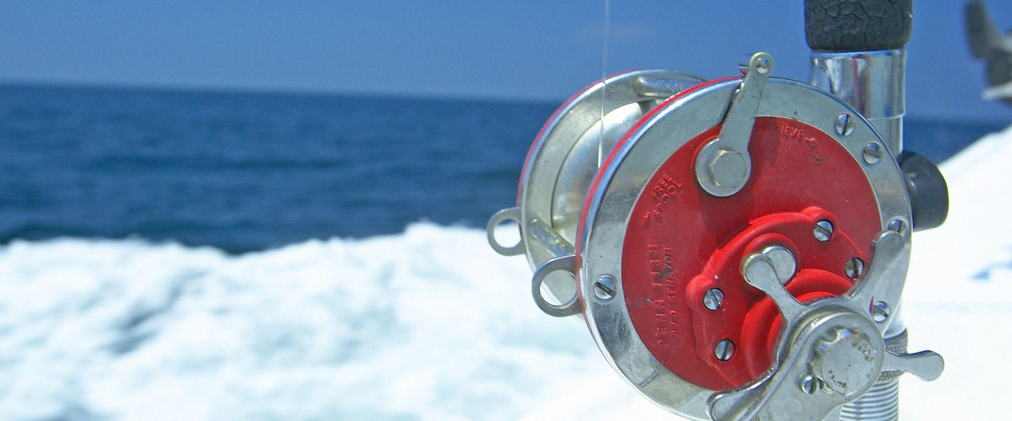Fishing in Gulf Shores and Orange Beach