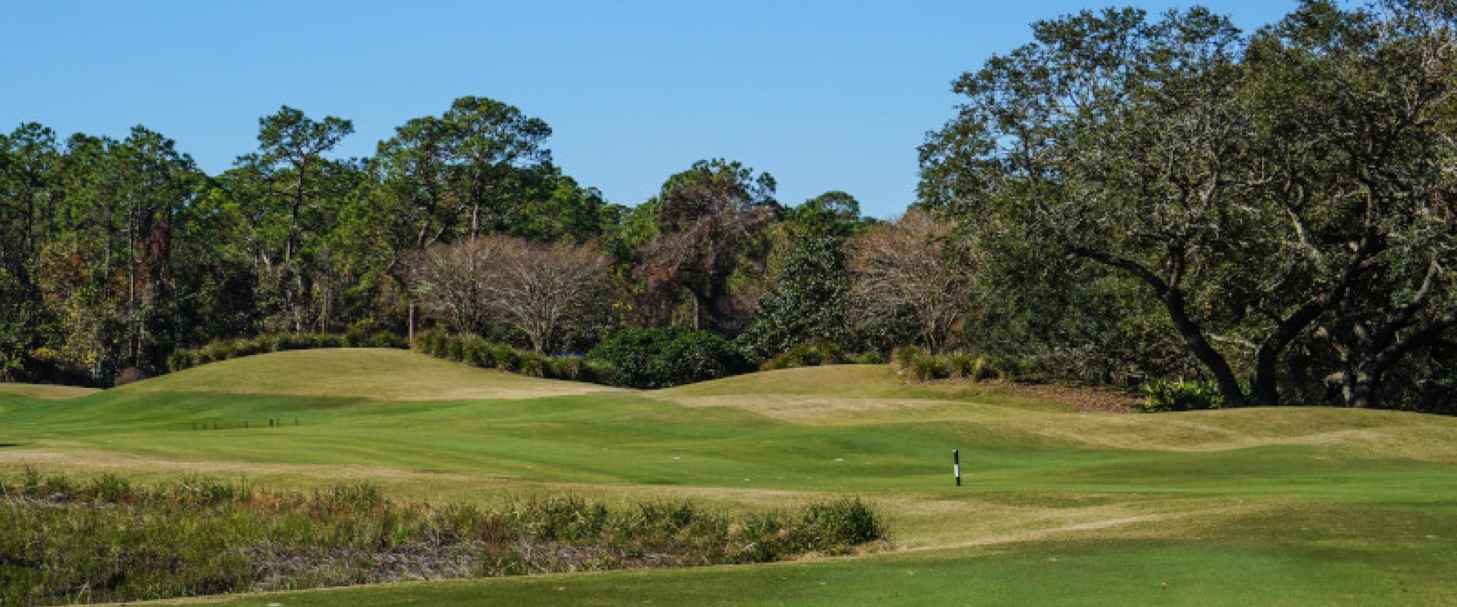 Improving Golf Gulf Shores AL
