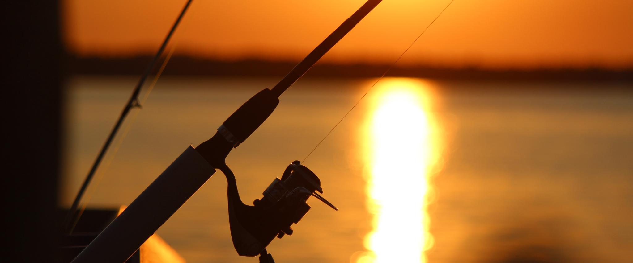 Fishing in Gulf Shores & Orange Beach