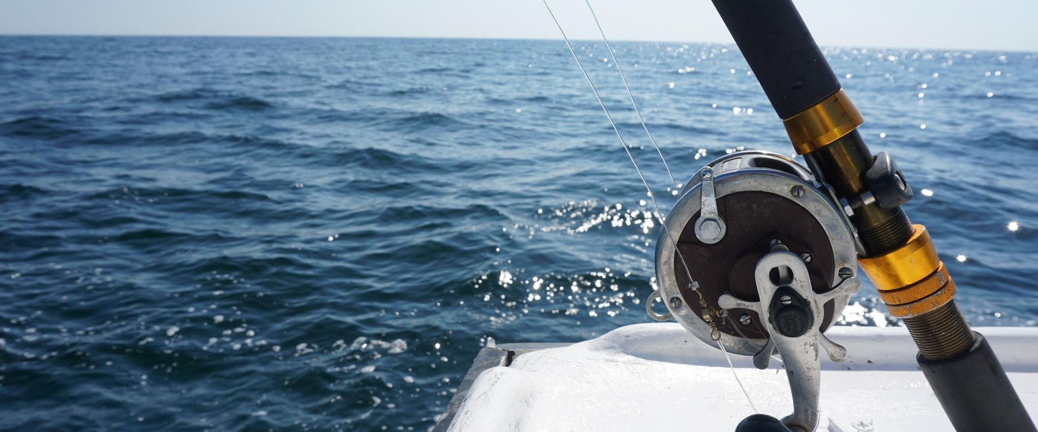 Fishing Gulf Shores