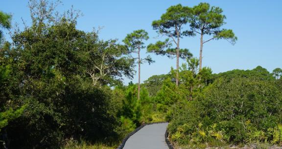 Trails in Gulf Shores & Orange Beach