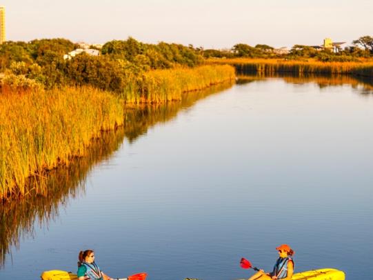 Kayak Gulf Shores