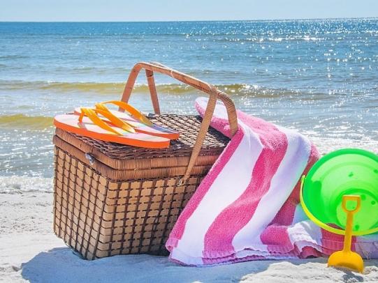 Picnic Basket lunch Orange Beach