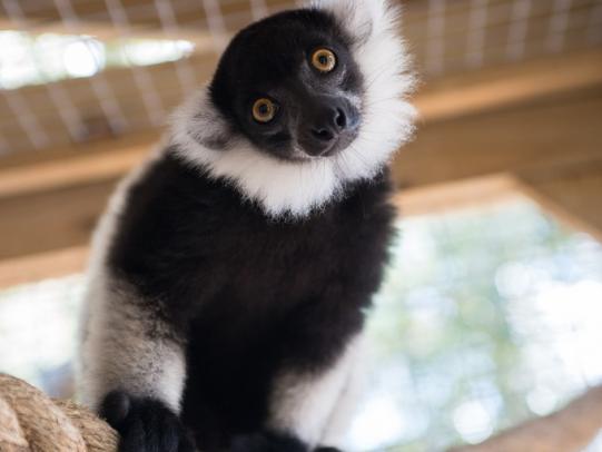 Alabama Gulf Coast Zoo