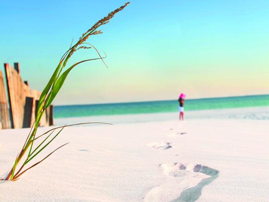 Alabama's White Sand Beaches