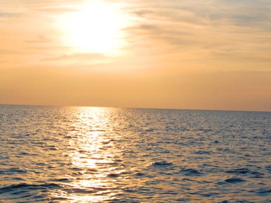 Back Bay Sailing Adventures at Sunset
