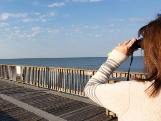 Gulf State Park Pier Gulf Shores AL