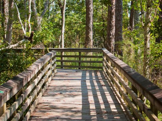 Weeks Bay National Reserve Fairhope, AL